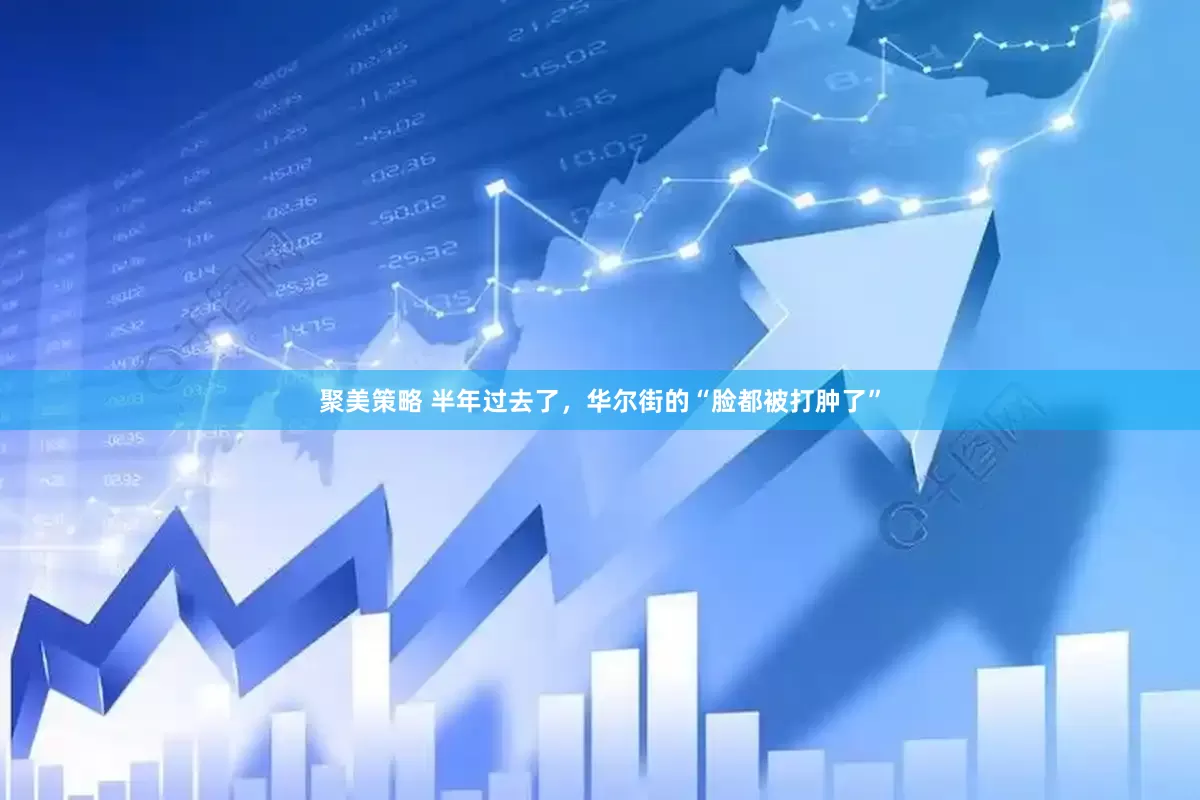 聚美策略 半年过去了，华尔街的“脸都被打肿了”