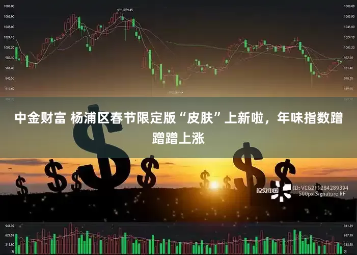 中金财富 杨浦区春节限定版“皮肤”上新啦，年味指数蹭蹭蹭上涨